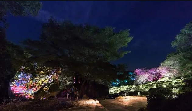 1597998095803649.png 1597998095803649.png